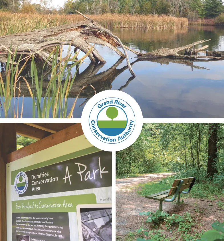 Peaceful trail in Dumfries Conservation Area